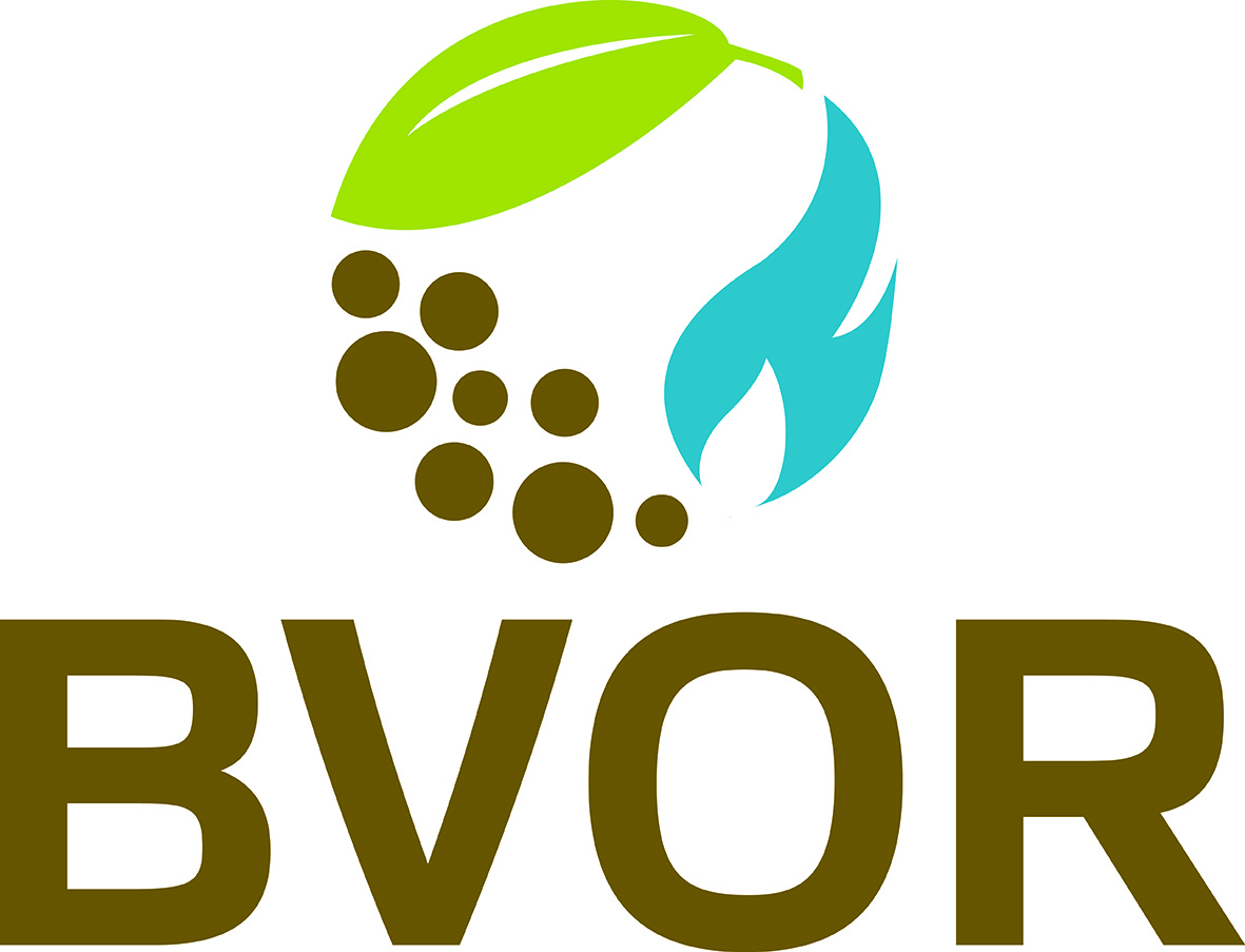 Logo BVOR.jpg